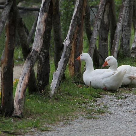 Albergo Lago Verde เพนนาบิลลิ ภายนอก รูปภาพ
