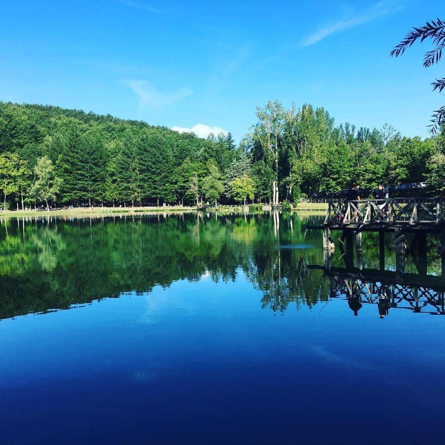 Albergo Lago Verde เพนนาบิลลิ ภายนอก รูปภาพ