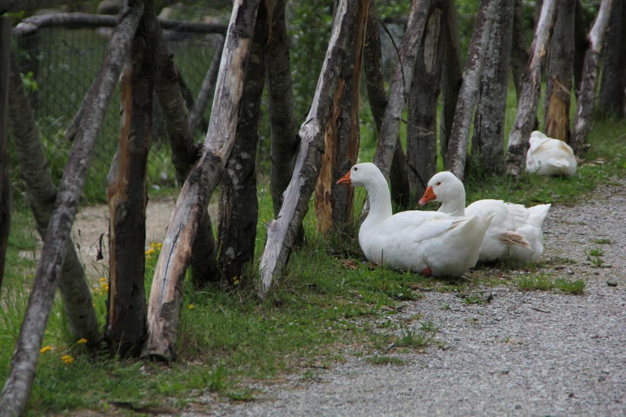 Albergo Lago Verde เพนนาบิลลิ ภายนอก รูปภาพ
